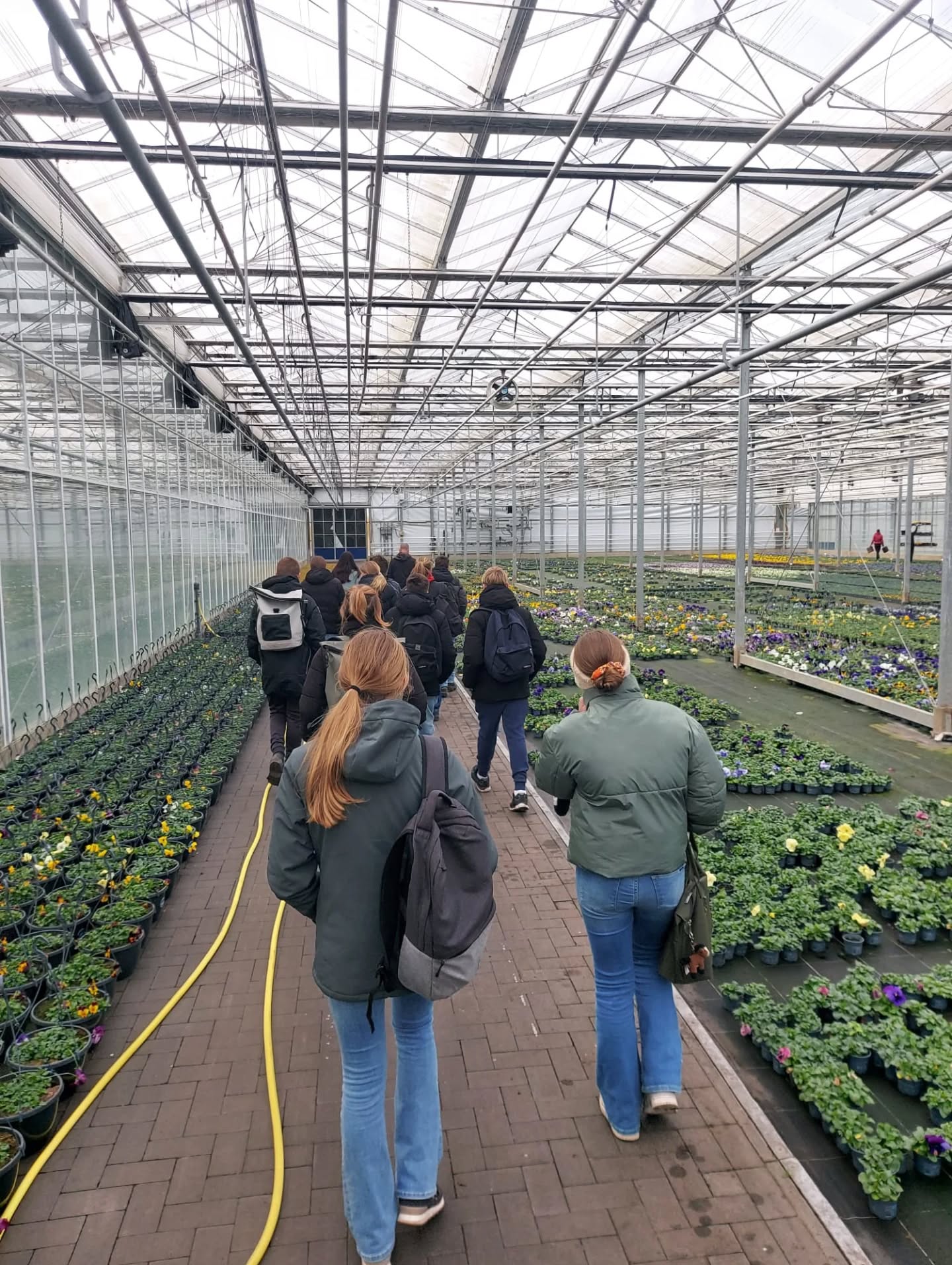 627892229 17848300203673496 2756754613221457239 n.webp